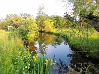 DSCN0279.JPG