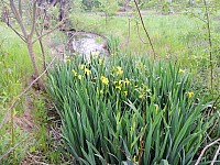 DSCN9978.JPG