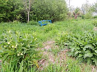 DSCN9980.JPG