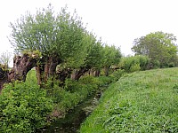 DSCN9981.JPG