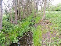 DSCN9988.JPG