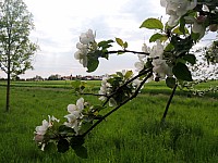 DSCN9994.JPG