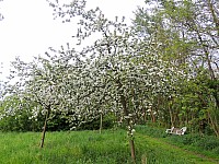 DSCN9996.JPG