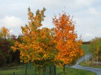 DSCN2886.JPG