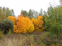 DSCN2909.JPG