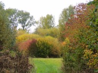 DSCN2915.JPG