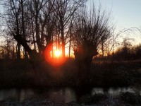 DSCN3196.JPG