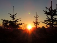DSCN3197.JPG