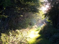 DSCN7454.JPG
