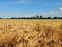 DSCN0428.JPG
