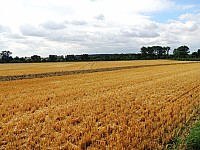 DSCN0429.JPG