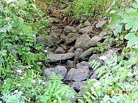 DSCN0463.JPG