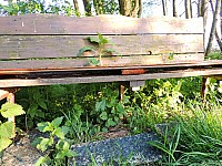 DSCN4640.JPG