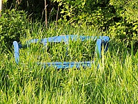 DSCN4641.JPG