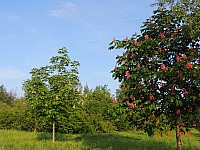 DSCN9972.JPG