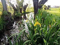 DSCN9981.JPG