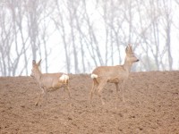 DSCN0035.JPG