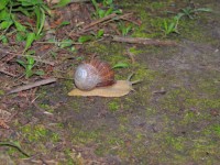 DSCN0300.JPG