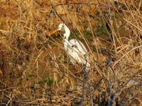 DSCN3745.JPG
