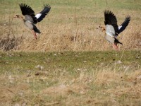 DSCN3957.JPG