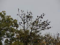 DSCN9480.JPG