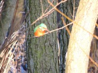 DSCN9967.JPG
