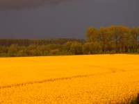 20130503.JPG
