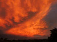 DSCN4971.JPG