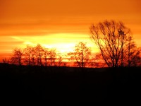 MDSCN0020.JPG