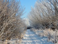 DSCN0230.JPG