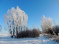DSCN0234.JPG