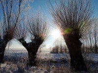 DSCN0236.JPG