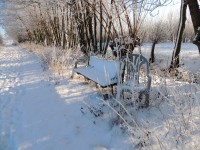 DSCN0240.JPG