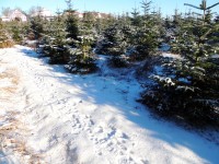 DSCN3607.JPG