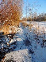 DSCN9991.JPG